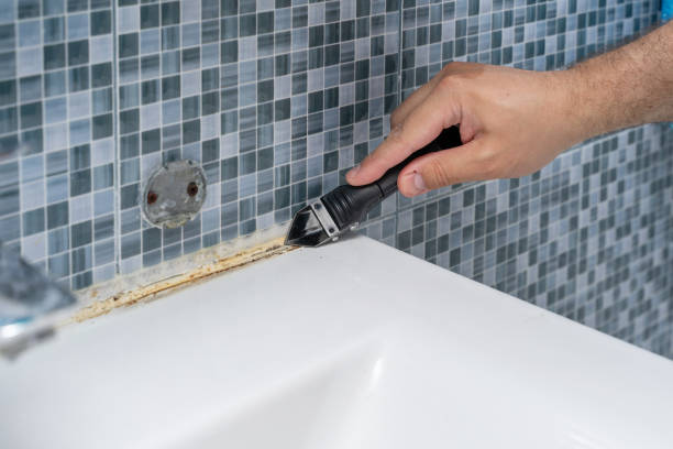 Best Emergency Mold Remediation in Manhasset Hills, NY